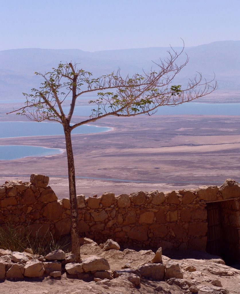 dead sea, israel, landscape, salt, travel, east, mineral, nature, coast, desert, coastline, outdoor, scenic, land, environment, sand, dry, earth, climate, ground, surface, dirt, soil, rough, arid, drought, terrain, barren, ecology, geography, infertile, parched